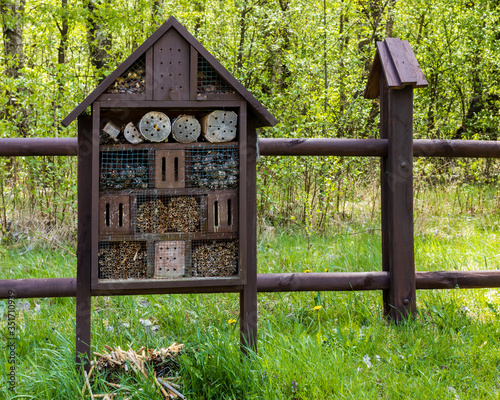 Ecological insects hotel bug house on the ground. Wooden fence behind. Grassland with shelter for insects in Poleski National Park, Poland, Europe. photo
