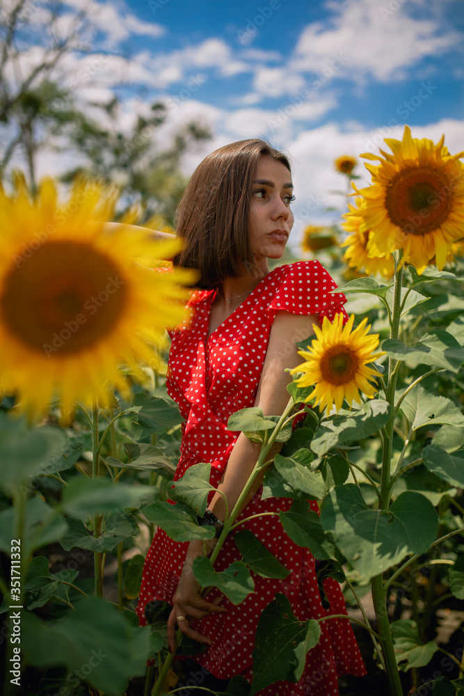 young beautiful caucasian girl in red dress in white dots stay in sunflower field young beautiful caucasian girl in red dress in white dots stay in sunflower field