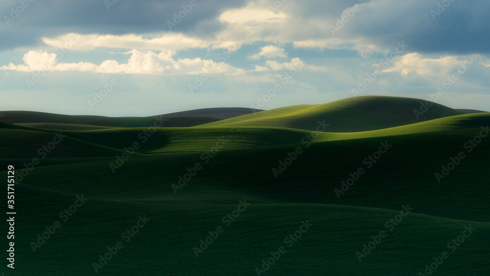 Obraz premium Undulation