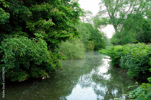 Beautiful English tranquil river scene with overhanging trees
