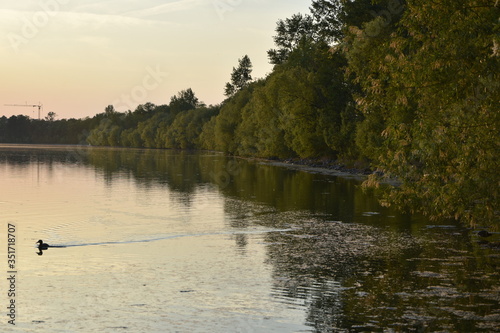Zülpicher See