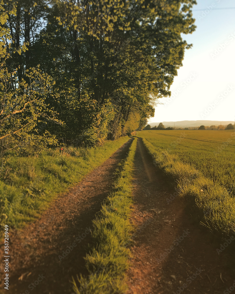 Naklejka premium Scottish Path