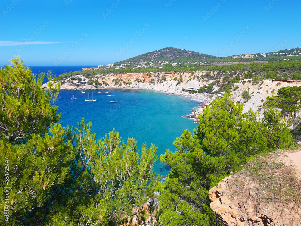 bright colors of the wild nature of the bay of Cala d'hort in ibiza in summer