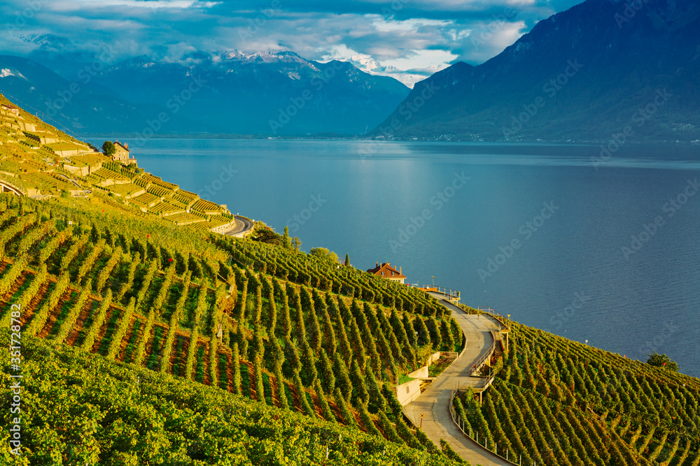 Lavaux, Switzerland: Lake Geneva and the Swiss Alps landscape seen from Lavaux vineyard tarraces in Canton of Vaud
