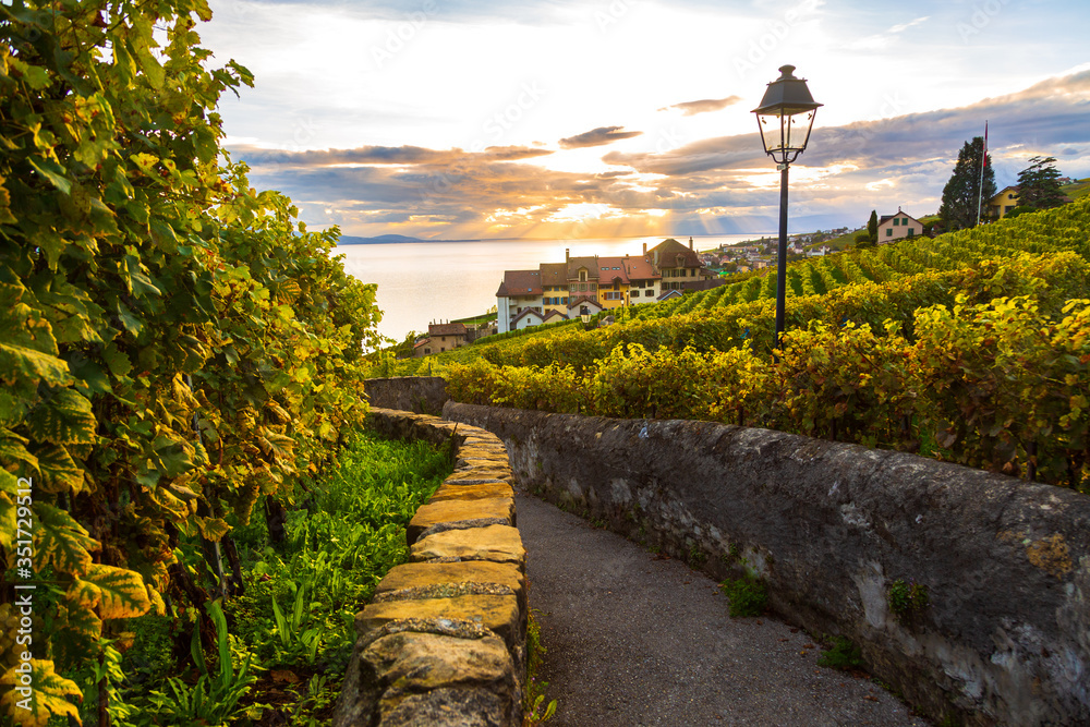 Lavaux, Switzerland: Lake Geneva and traditional swiss hauses during sunset seen from Lavaux vineyard hiking trail in Canton Vaud - obrazy, fototapety, plakaty 
