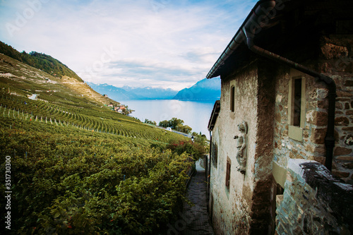 Lavaux, Switzerland: Lake Geneva, green vineyards and old hause on Lavaux vineyard hiking trail in Canton Vaud