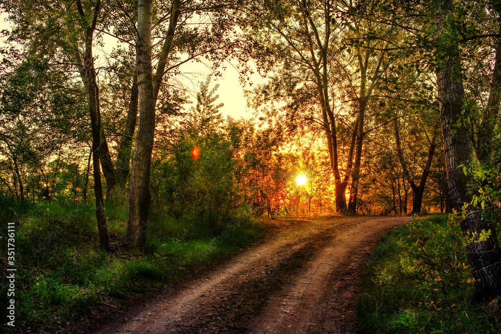 A beautiful sunrise in the forest over the road in the early morning.