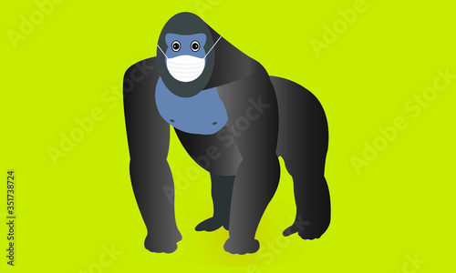 Gorilla wearing a mask during COVID19. Vector illustration.