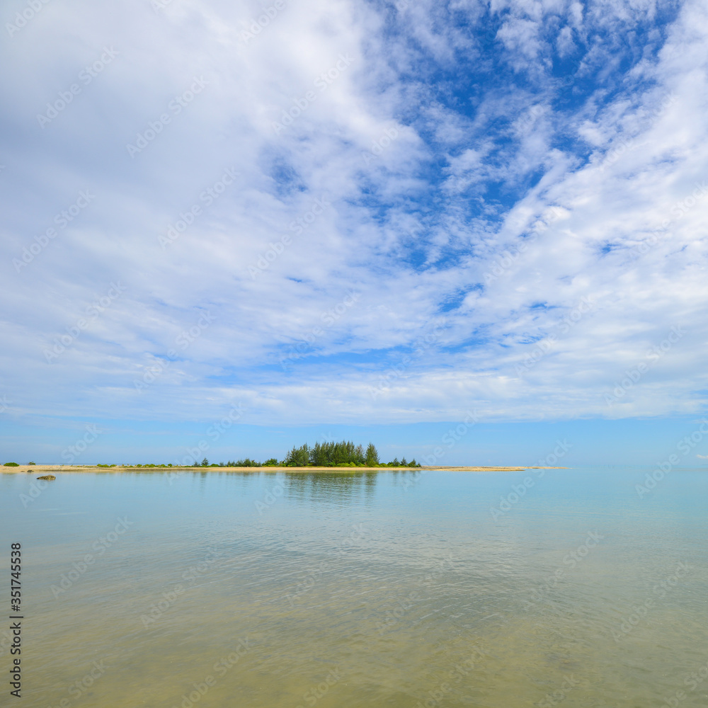 Fototapeta premium Tropical sea beach with pine tree with beautiful seascape