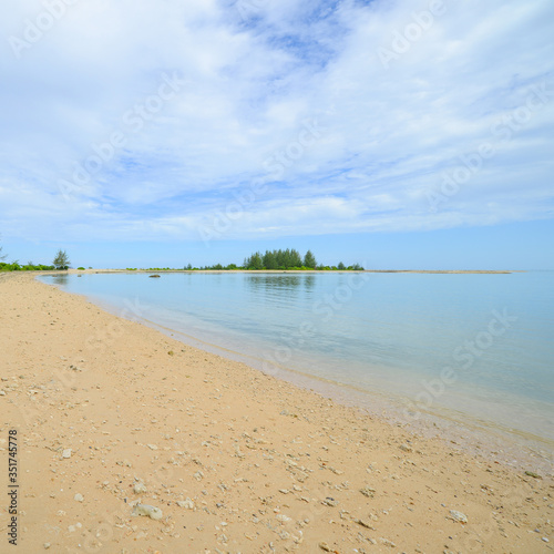 Tropical sea beach with pine tree with beautiful seascape