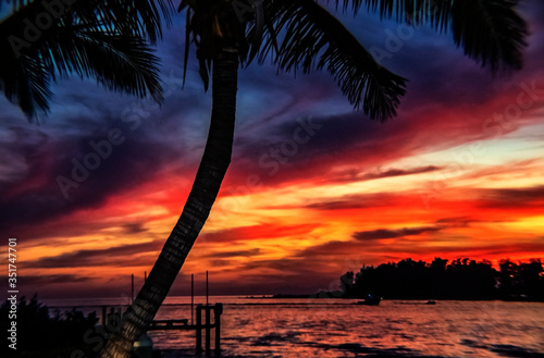 sunset on the bay, palm, tropical, sea, tree, sky, sun, water, evening, travel, paradise, red, purple, island, Siesta Key, Florida