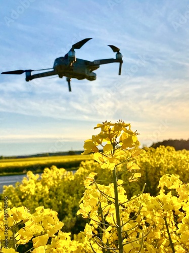 Photography Drone over rapeseed field in Sweden
