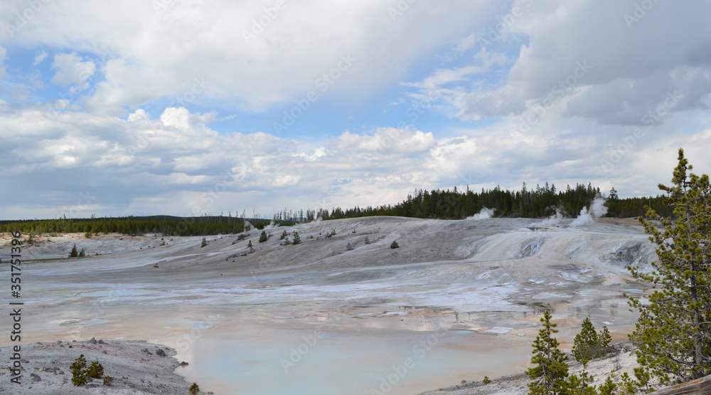 Late Spring in Yellowstone National Park: Porcelain Springs in the Porcelain Basin Area of Norris Geyser Basin