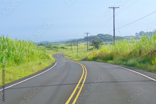 ハワイ島の道路 島の中の道を撮影