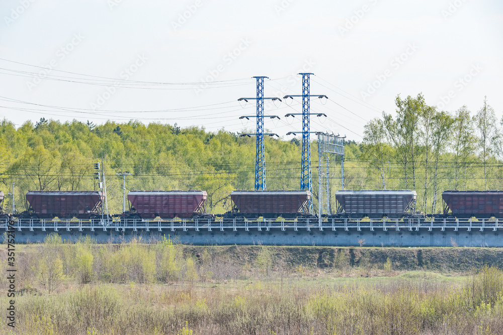 Freight train moves by the spring forest.