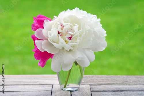 Bouquet of fragrant white and pink herbaceous peony flowers photo