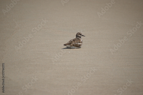 Developed using darktable 2.6.0