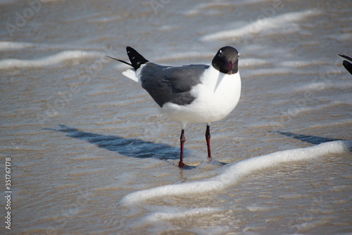 Developed using darktable 2.6.0