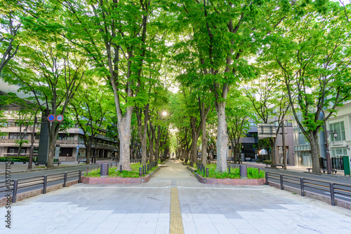 新緑の杜の都　仙台