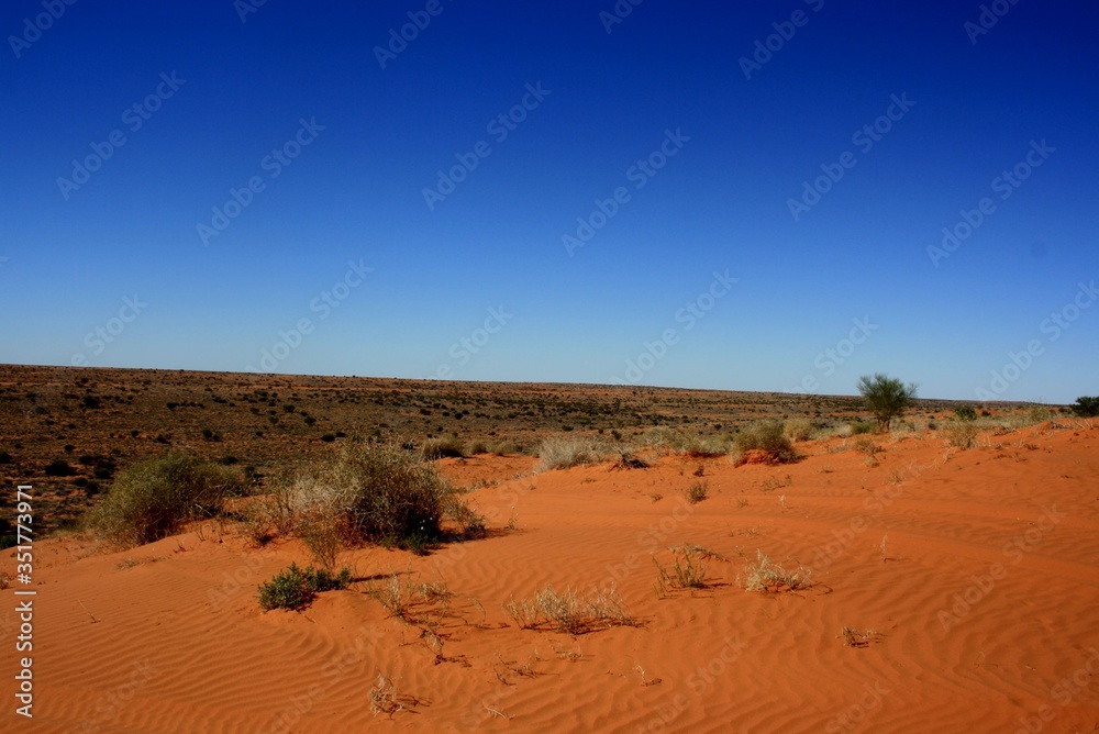 Simpson Desert with Sand Dunes.