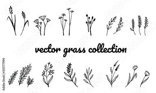 Doodle grass set for wedding, greeting or invitation card design. Vector floral illustrations isolated on white background.