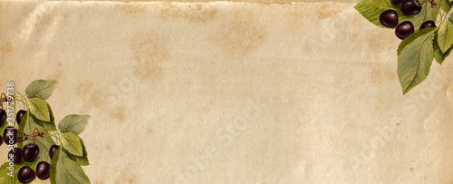 cherry watercolor vintage c...