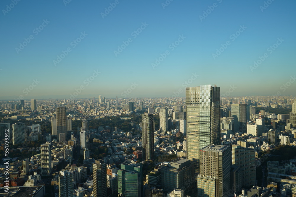 Fototapeta premium 東京の風景