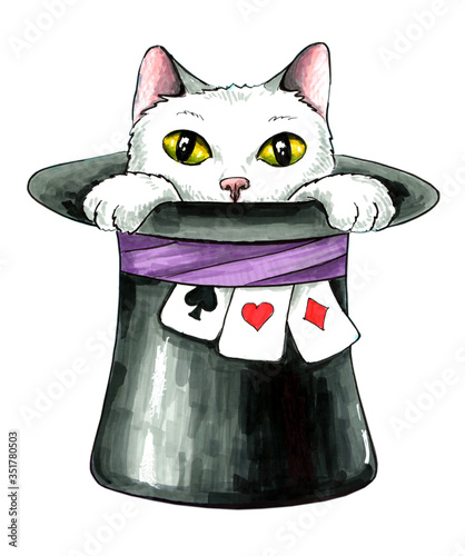 magic white cat out of hat illustration