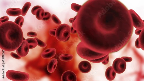 Animation of several red blood cells moving photo