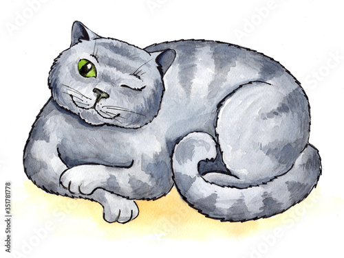 watercolor illustration gray cat one eye