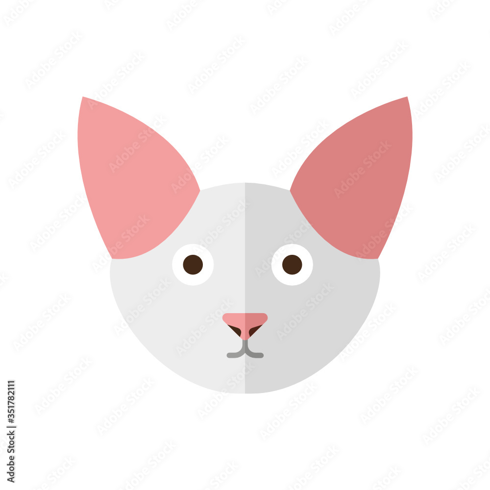 cat
cat