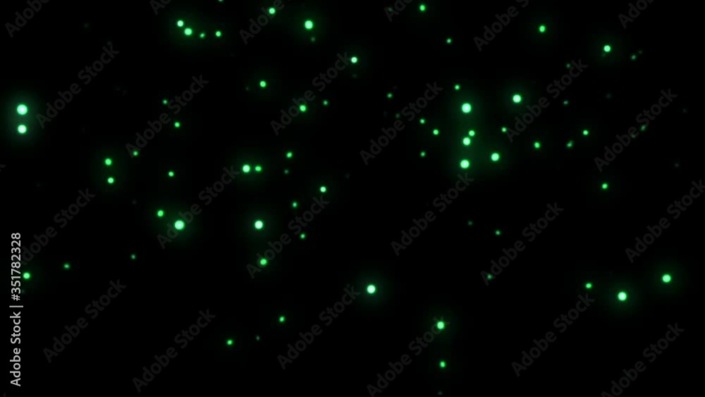 Firefly lights in the dark Firefly lights in the dark