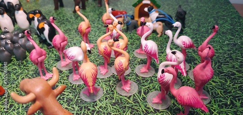Flamingos in the zoo
