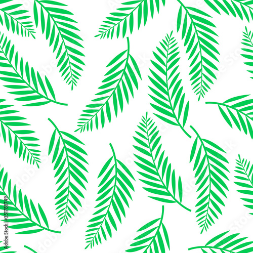 Seamless pattern with tropical palm leaves on white background. Botanical illustration