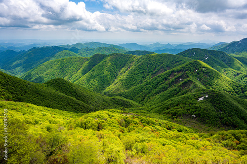 新緑の山並み