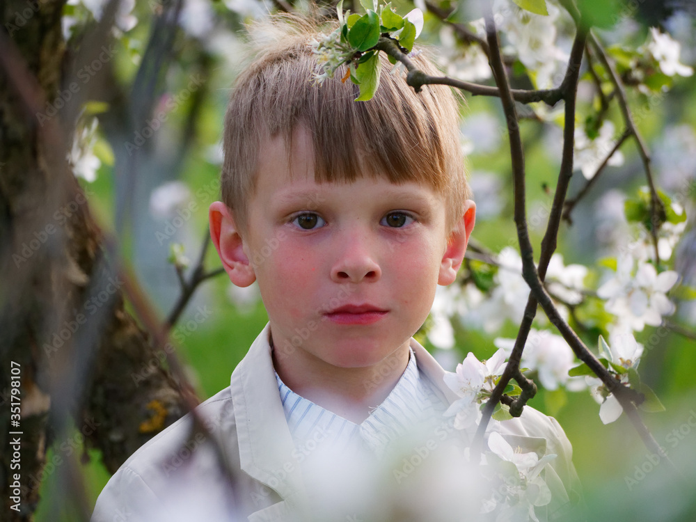 boy on the grass near blooming apple trees in the garden boy on the grass near blooming apple trees in the garden