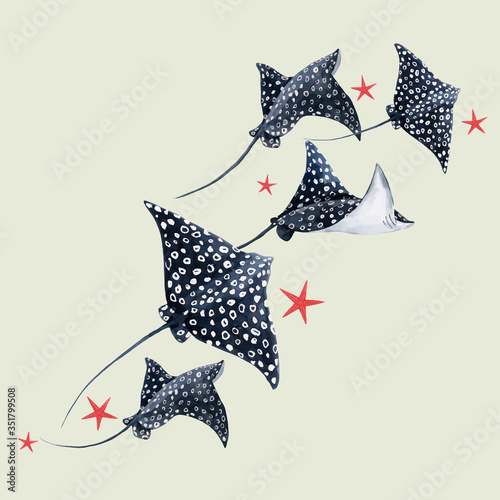 Beautiful composition with watercolor hand drawn ramp fish. Stock illustration.