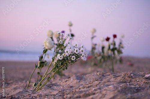 Funeral flower, lonely white and red roses and daisy flowers at the beach, with copy space, burial at sea. place for a text. Funeral symbol and Condolence card concept. Selective focus