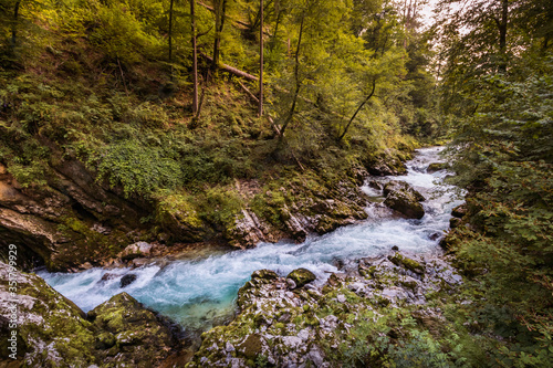 The mountain stream in the Gorge with Forest on both sides. Vintgar Gorge  Slovenia during summer