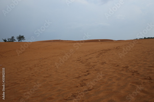 sand dunes in vietnam