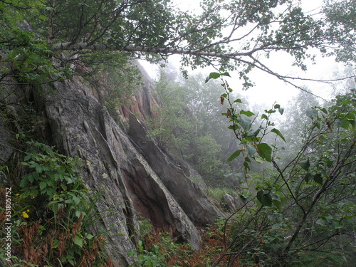 Wild Nature of Russia