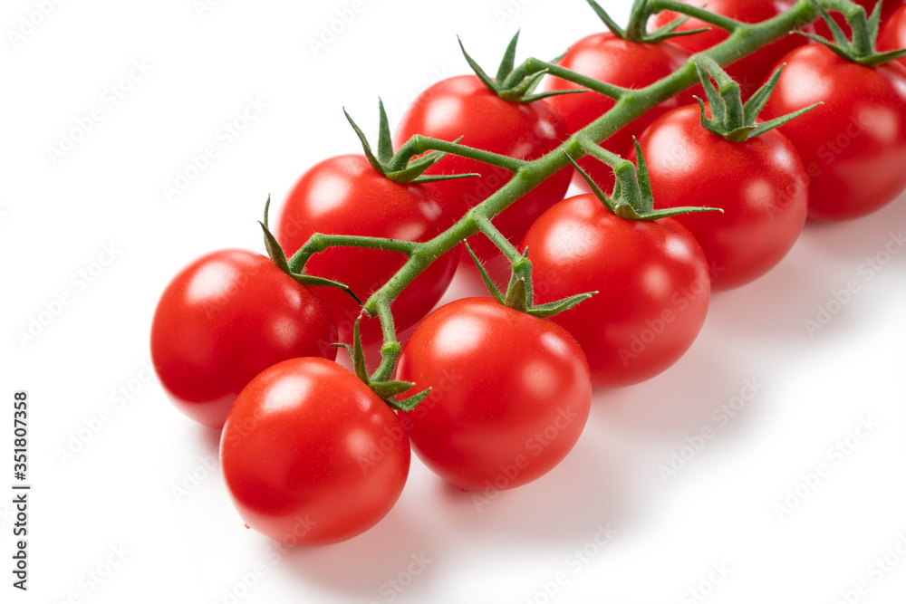 Tomatoes on a white background Tomatoes on a white background
