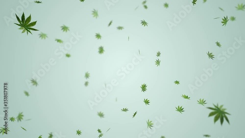Marijuana leaf green and alpha matte background. 3D marijuana leaf
