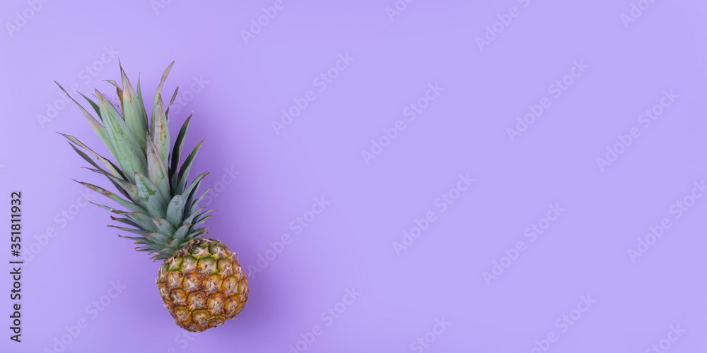 Single whole green yellow pineapple with long thorny leaves ready to cut on purple background. Fruit lying on the left of the picture and creates space for text Single whole green yellow pineapple with long thorny leaves ready to cut on purple background. Fruit lying on the left of the picture and creates space for text