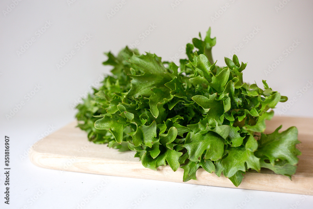 A bunch of fresh lettuce on the cutting wooden board on the white background. Seasoning greens on the table. Healthy vegetarian food. An ingredient for salad. A bunch of fresh lettuce on the cutting wooden board on the white background. Seasoning greens on the table. Healthy vegetarian food. An ingredient for salad.
