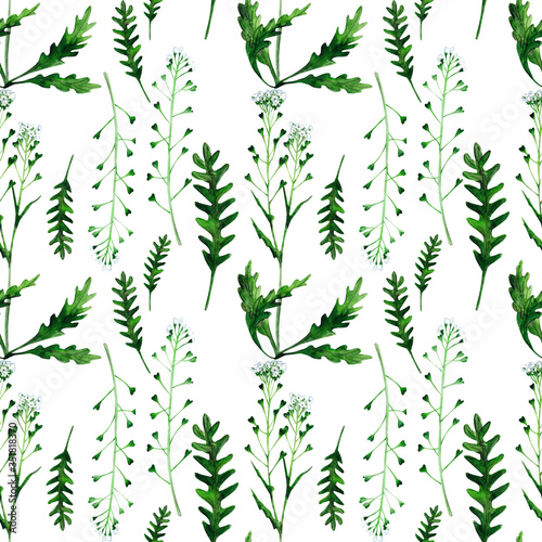 Capsella on a white background. Wild healing herbs seamless pattern design for wallpaper  paper  textile  fabric.