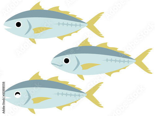 アジのイラスト