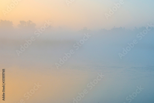 Reed along the edge of a misty lake at a yellow foggy sunrise in an early spring morning