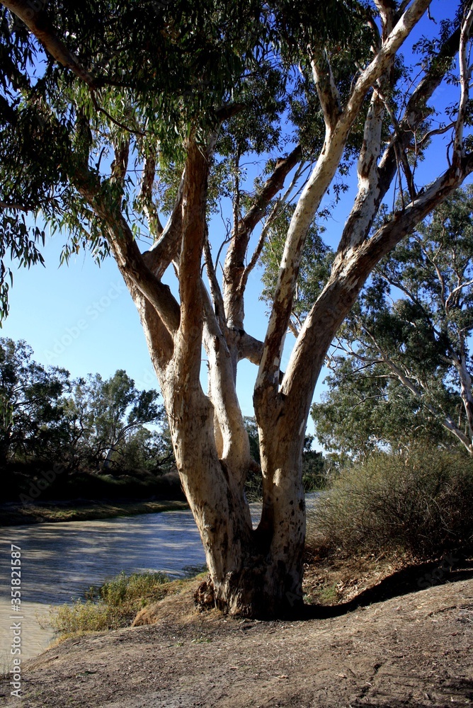 Fototapeta premium Cooper River, Outback Australia.
