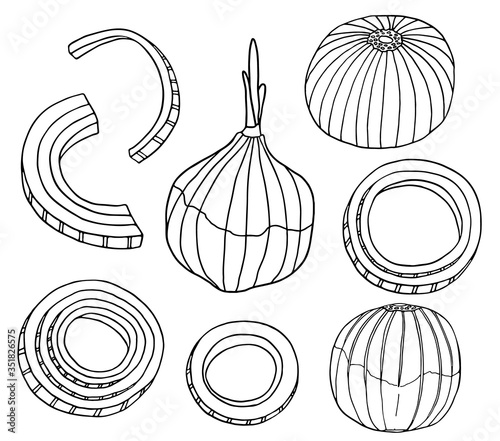 Outline onion vector illustration set. Hand drawn black and white bulb, rings and slices of onion. Fresh ingredients doodle drawing.